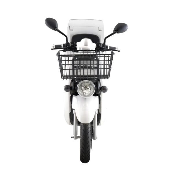 Sunra 300W Cargoo - Imagen 4