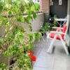 Casa en venta - Venta - TIGRE