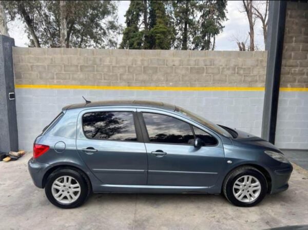 Peugeot 307 2.0 XS - Imagen 4