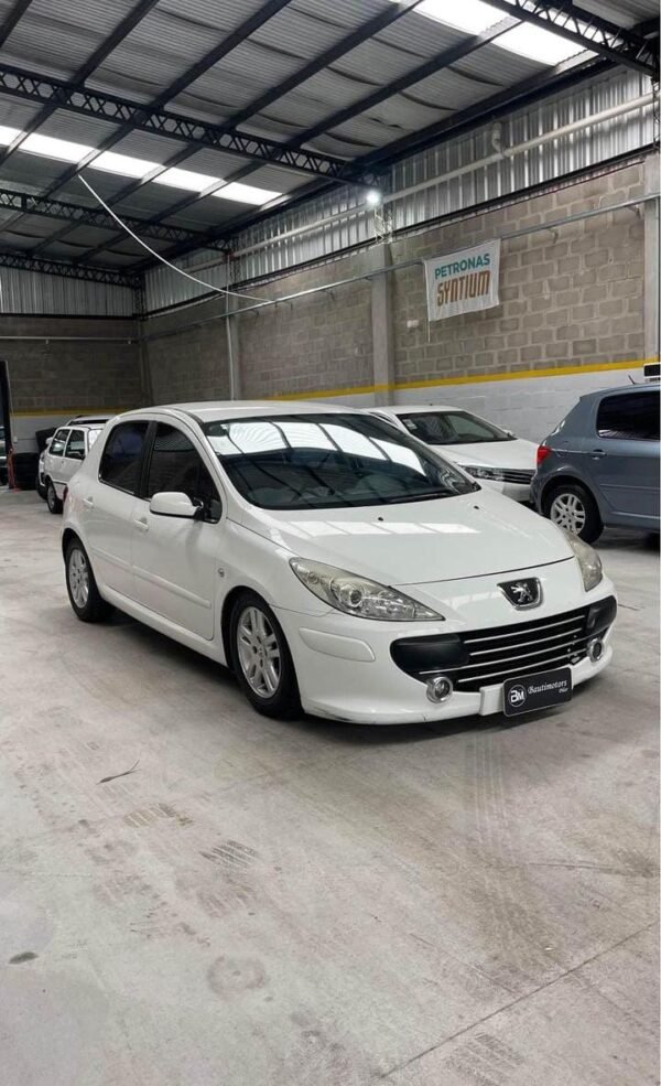 PEUGEOT 307 - Imagen 2