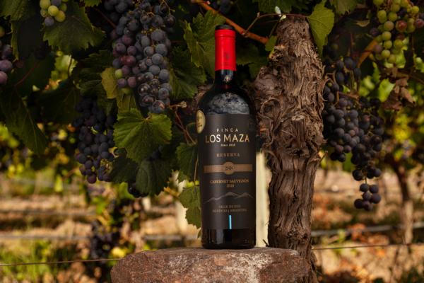 Bodegas y Vinos Finca Los Maza - Imagen 2