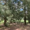 Terreno En Venta En La Escondida - Manzanares