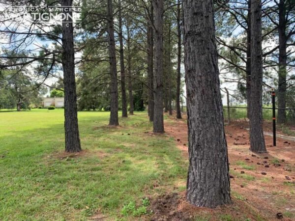 Terreno En Venta En La Escondida - Manzanares - Imagen 6