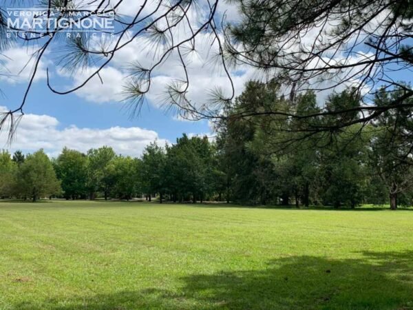 Terreno En Venta En La Escondida - Manzanares - Imagen 5