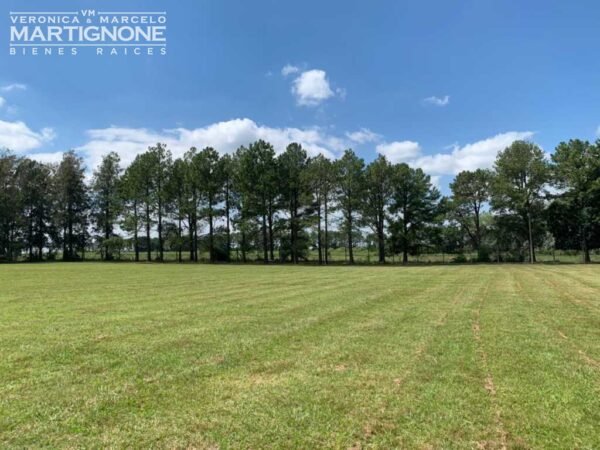 Terreno En Venta En La Escondida - Manzanares - Imagen 4