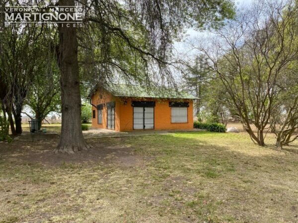 Campo De 12 Has En Venta Entre Torres Y Carlos Keen - Imagen 11