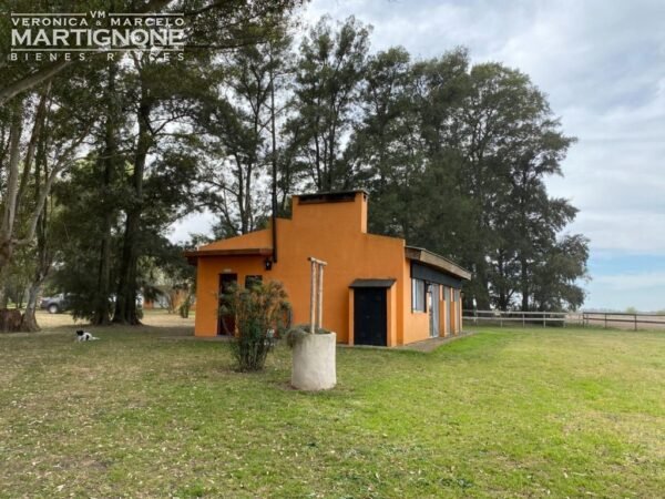 Campo De 12 Has En Venta Entre Torres Y Carlos Keen - Imagen 12