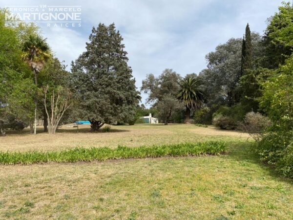 Campo De 12 Has En Venta Entre Torres Y Carlos Keen - Imagen 5