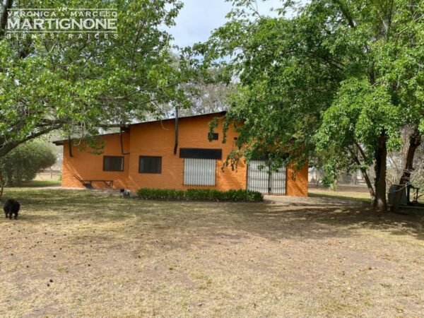 Campo De 12 Has En Venta Entre Torres Y Carlos Keen - Imagen 7