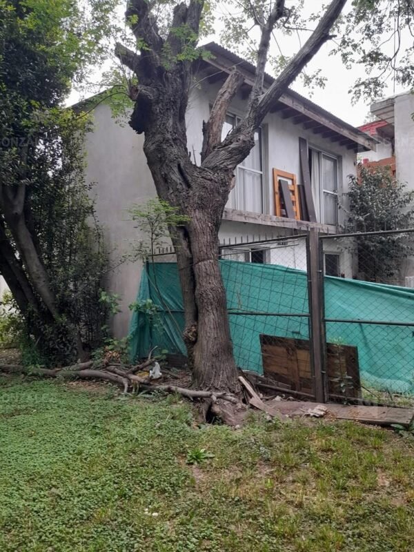 Jacarandá 1500 - Imagen 14