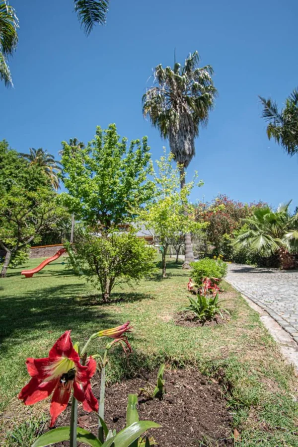 Martin Fierro 2300, San Fernando - Imagen 4
