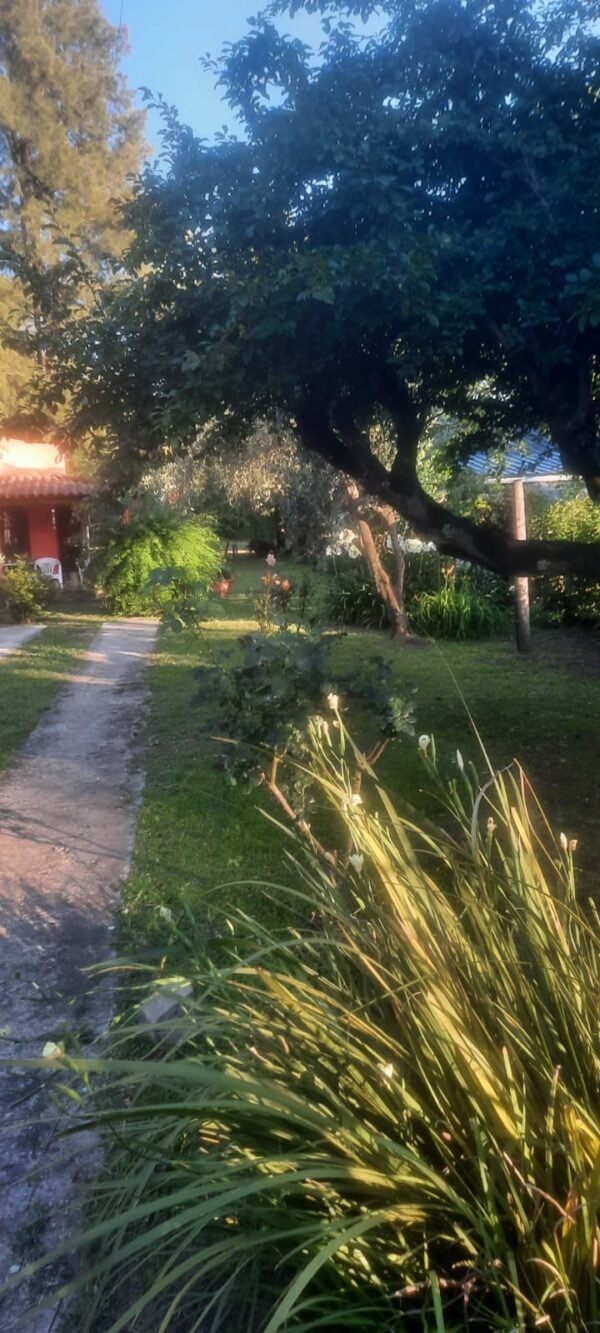 Quinta en gral rodriguez - Imagen 3