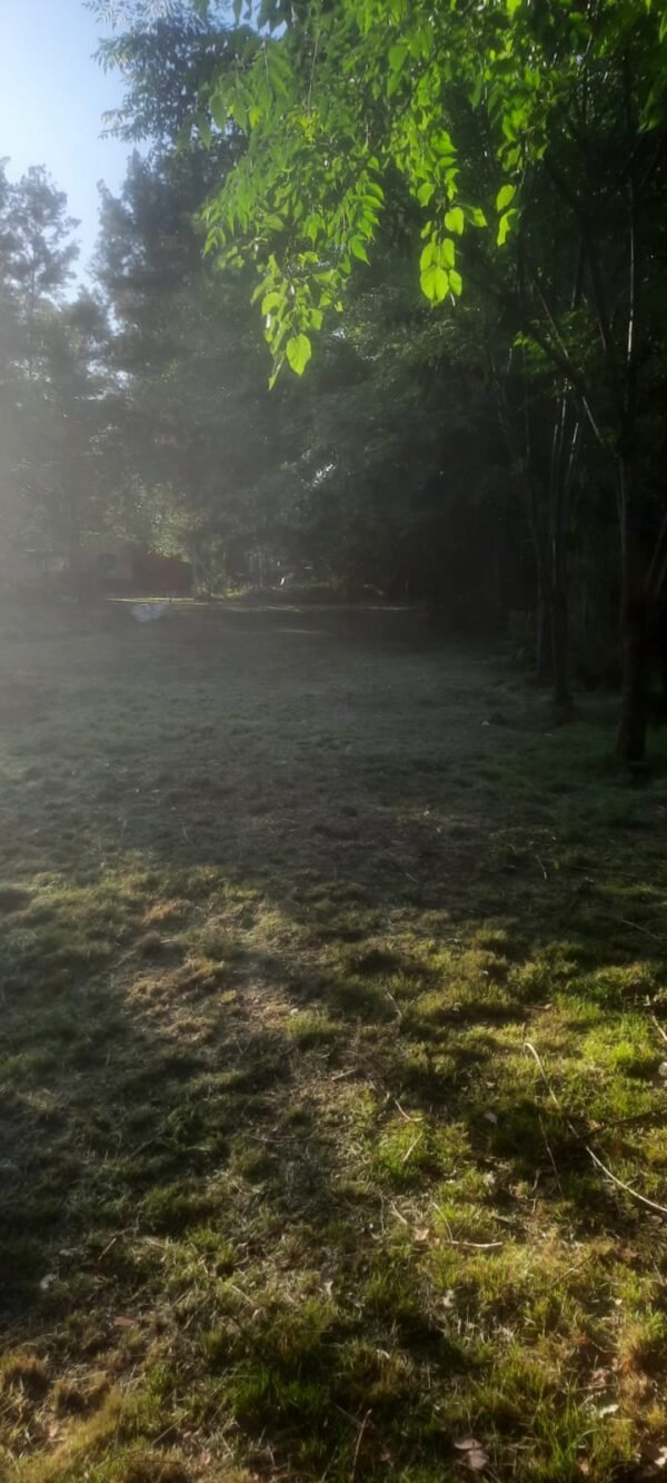 Quinta en gral rodriguez - Imagen 5