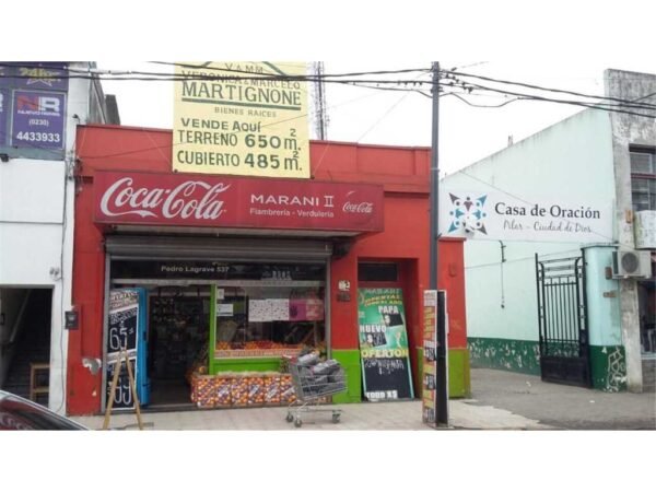 Inmueble Comercial En Pilar Centro