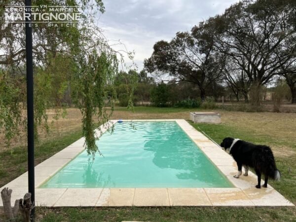 Casa En Alquiler Club De Campo La Ranita Manzanares Open Door - Imagen 17