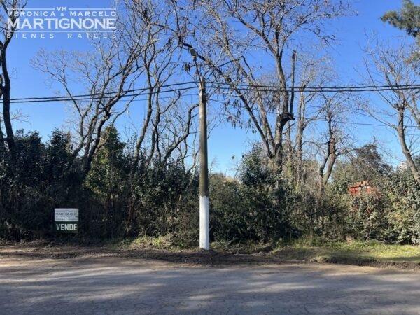 Terreno Sobre Asfalto En Venta En Manzanares - Pilar - Imagen 2
