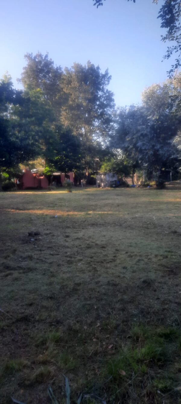 Quinta en gral rodriguez - Imagen 8
