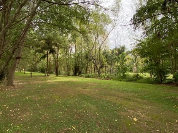 Terreno Delta, Lote Barrio Palmares Del Delta - Imagen 5