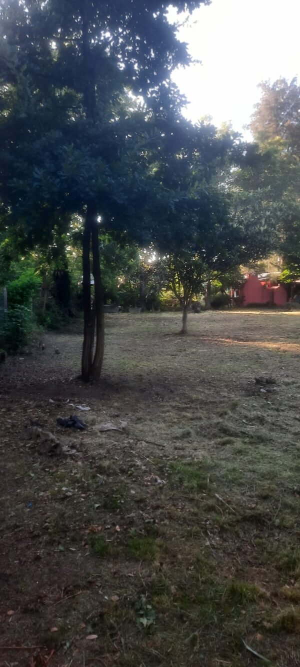Quinta en gral rodriguez - Imagen 9