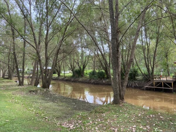 Terreno Delta Barrio Náutico Palmares Del Delta