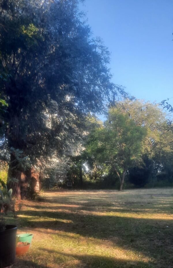 Quinta en gral rodriguez - Imagen 11