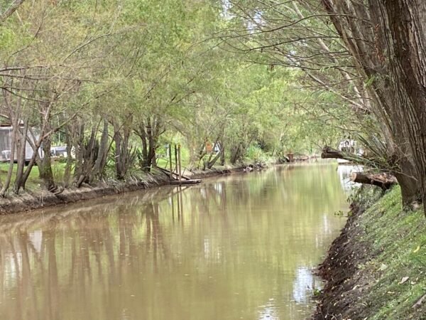 Terreno Delta, Lote Barrio Palmares Del Delta - Imagen 3