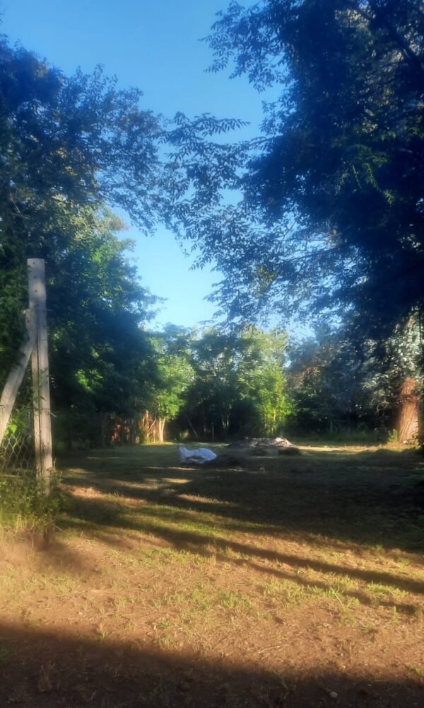 Quinta en gral rodriguez - Imagen 12