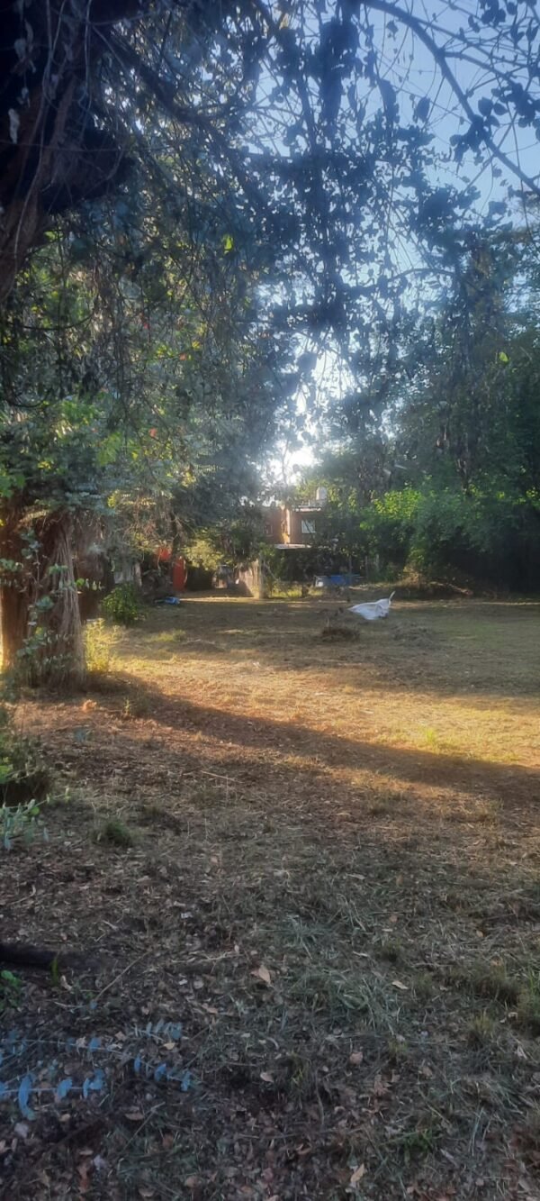 Quinta en gral rodriguez - Imagen 6