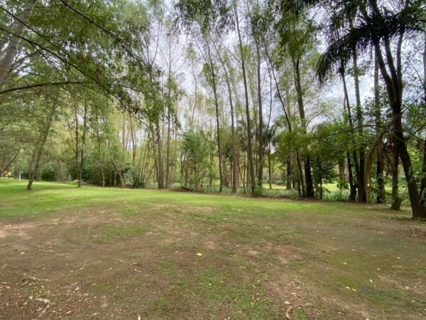 Terreno Delta, Lote Barrio Palmares Del Delta - Imagen 2