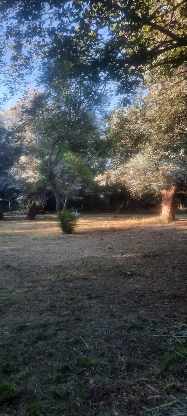 Quinta en gral rodriguez - Imagen 7