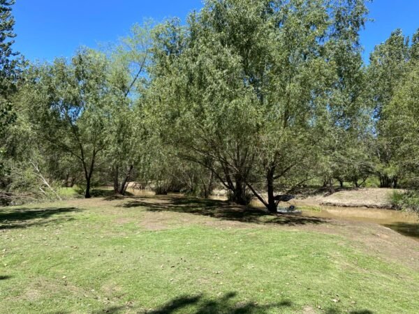 Lote en el Delta - Imagen 3