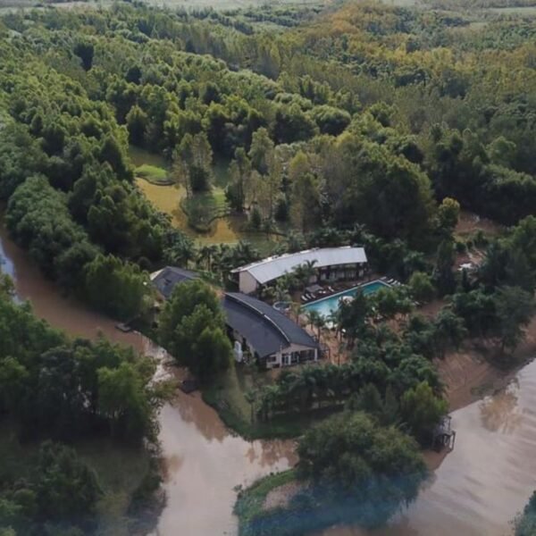 Venta de Hotel Exclusivo en el Corazón del Delta del Paraná – ¡Una Inversión Única en San Fernando! - Imagen 10