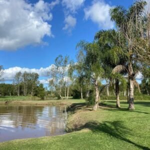 Lotes en Venta en Delta del Paraná – Complejo Cornamusa