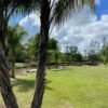 Lote de 800m² en el Delta (Tigre)