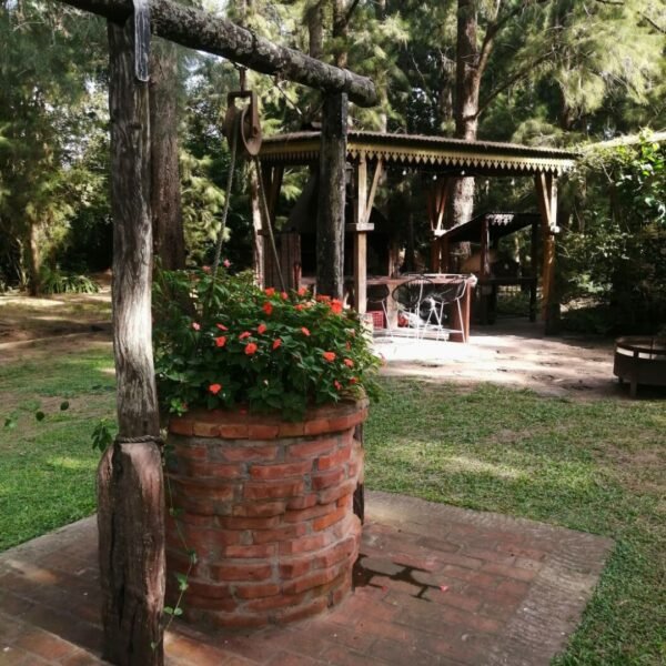 Venta de 3 casas Y 8 hectáreas en el Delta sobre el Río Carapachay - Imagen 14