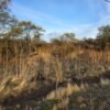 TERRENO EN ENTORNO NATURAL CON ENERGÍA ELÉCTRICA