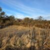 TERRENO EN ENTORNO NATURAL CON ENERGÍA ELÉCTRICA