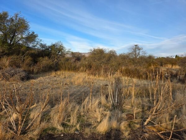 TERRENO EN ENTORNO NATURAL CON ENERGÍA ELÉCTRICA - Imagen 6