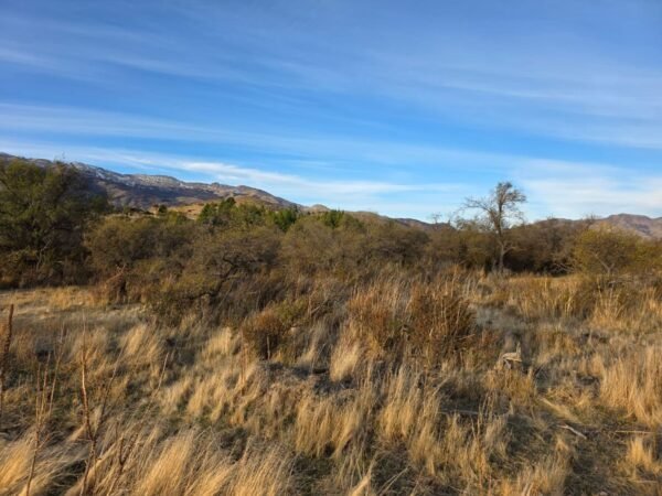 TERRENO EN ENTORNO NATURAL CON ENERGÍA ELÉCTRICA - Imagen 7