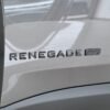 Renegade Willys