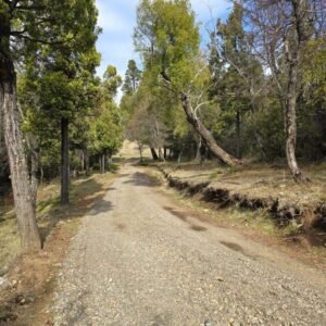 HERMOSO TERRENO EN LAGUNA BRYCHAN, TREVELIN