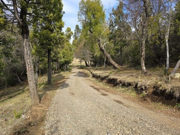 HERMOSO TERRENO EN LAGUNA BRYCHAN, TREVELIN