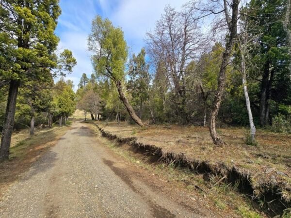 HERMOSO TERRENO EN LAGUNA BRYCHAN, TREVELIN - Imagen 3