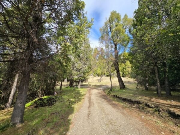 HERMOSO TERRENO EN LAGUNA BRYCHAN, TREVELIN - Imagen 6