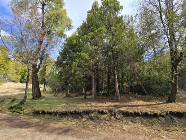 HERMOSO TERRENO EN LAGUNA BRYCHAN, TREVELIN - Imagen 8