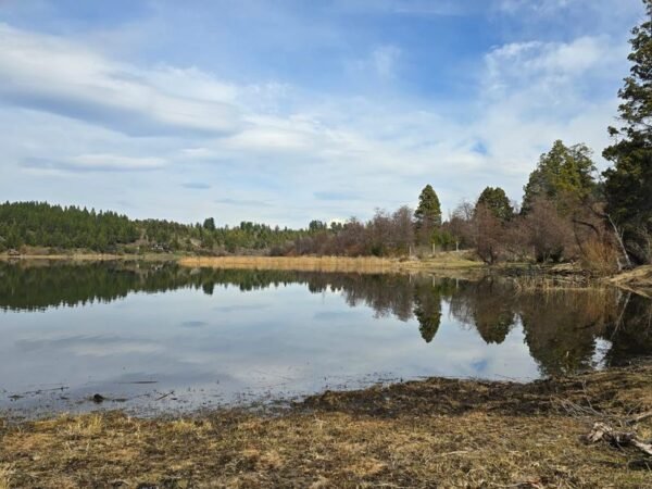 HERMOSO TERRENO EN LAGUNA BRYCHAN, TREVELIN - Imagen 13