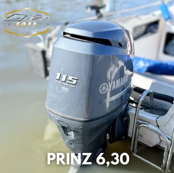 Tracker prinz 6,30 Cabinado - Imagen 14