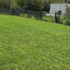 Vendo lote en barrio Fincas De Ibarlucea de 12 x 32 mts.