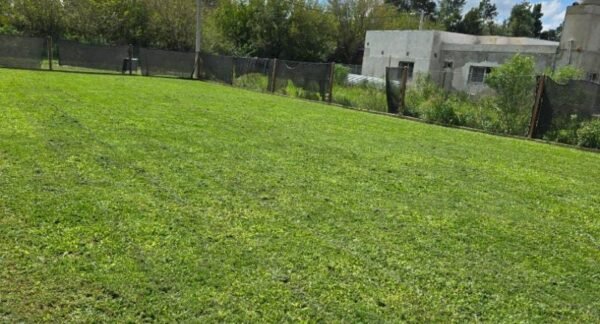 Vendo lote en barrio Fincas De Ibarlucea de 12 x 32 mts. - Imagen 2