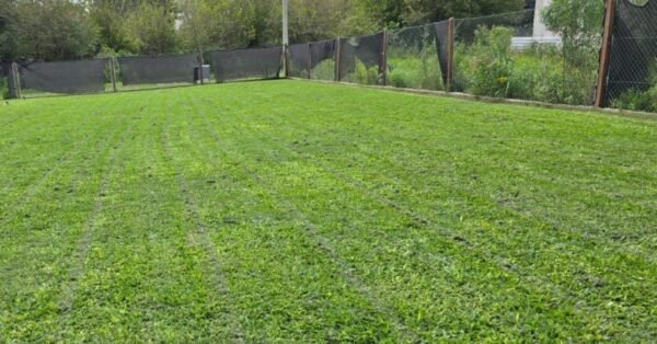 Vendo lote en barrio Fincas De Ibarlucea de 12 x 32 mts. - Imagen 5